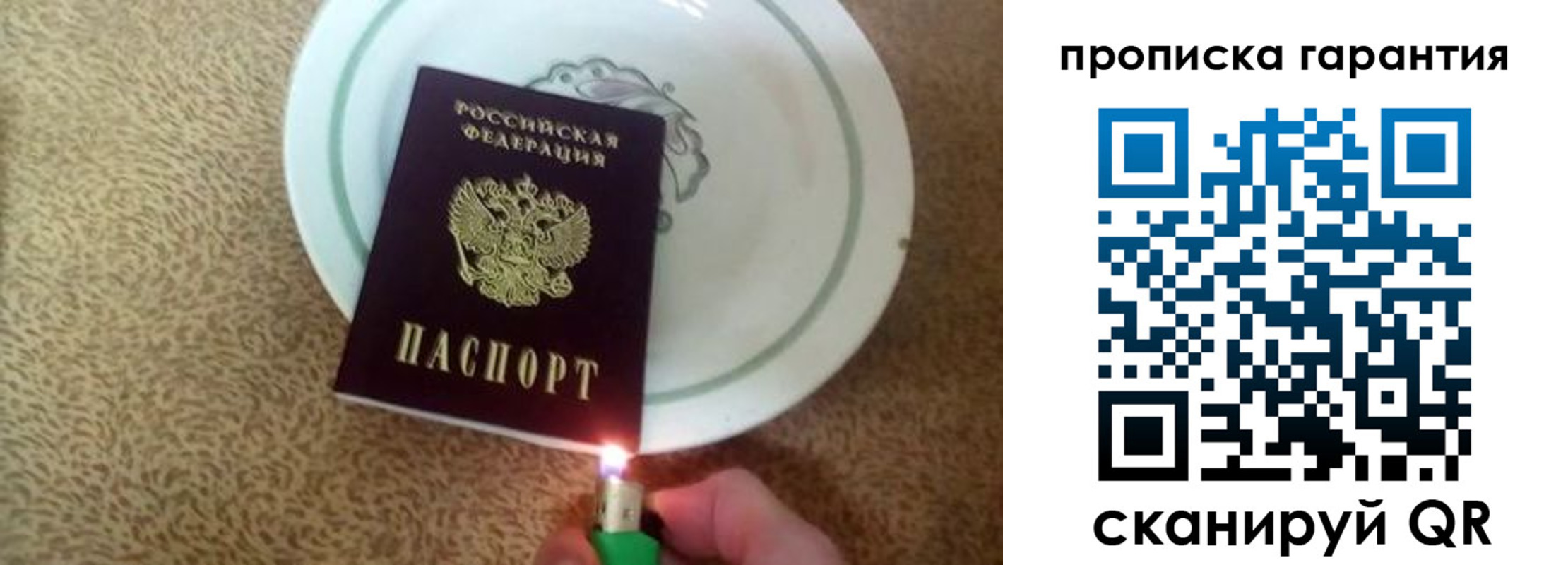 прописка гарантия в Опочке